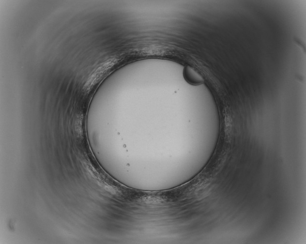 X0000103440537200809261756