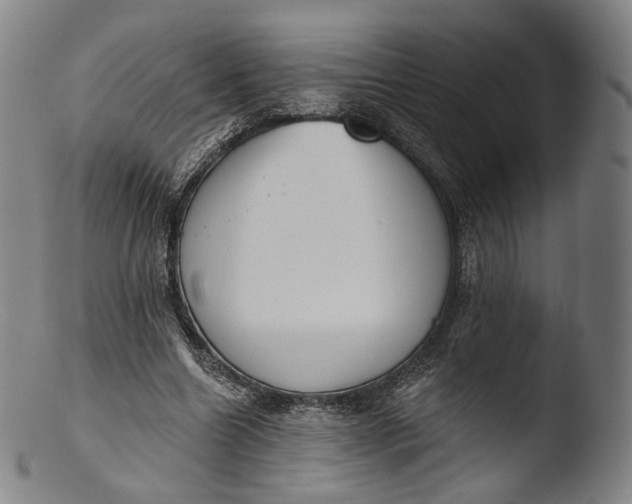 X0000103440538200809261756