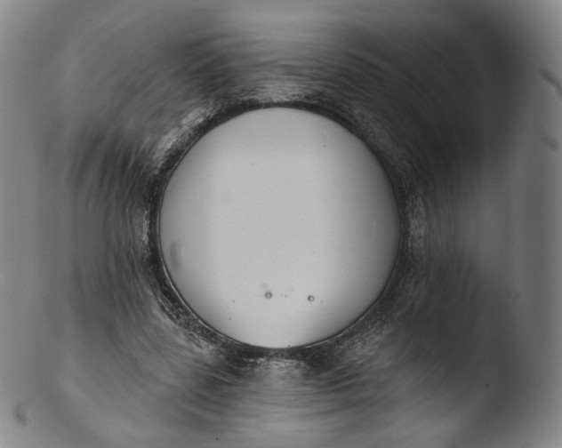 X0000103440539200809261756