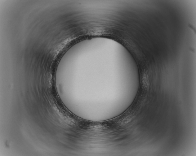 X0000103440540200809261756