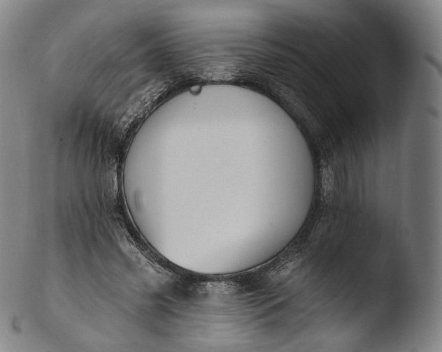 X0000103440541200809261756