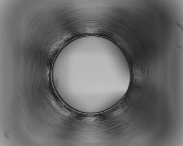 X0000103440542200809261756