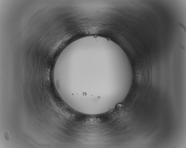 X0000103440543200809261756