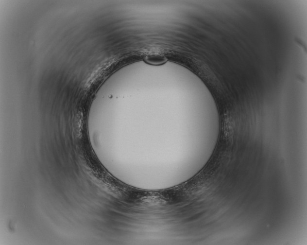 X0000103440544200809261756