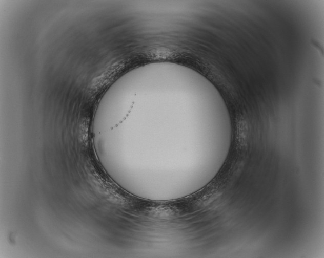 X0000103440545200809261756