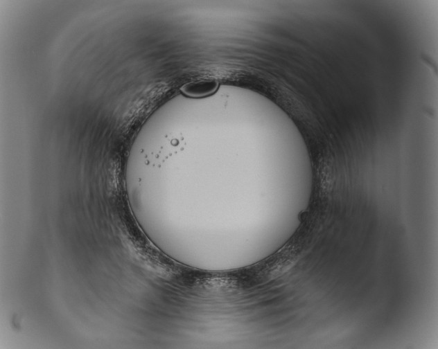 X0000103440546200809261756