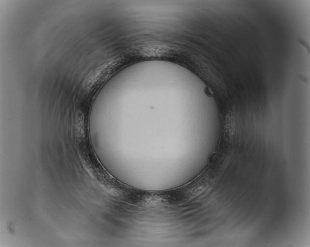 X0000103440547200809261756