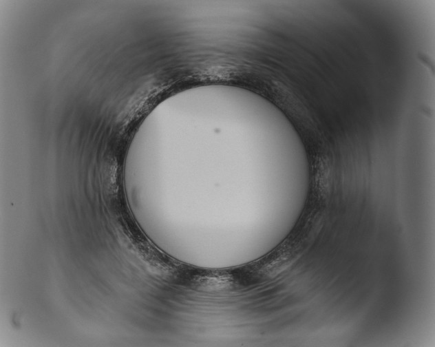X0000103440548200809261756