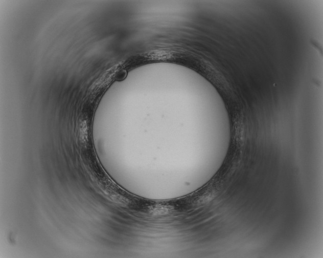 X0000103440549200809261756