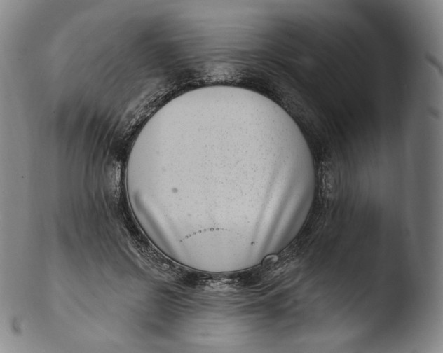 X0000103440550200809261756