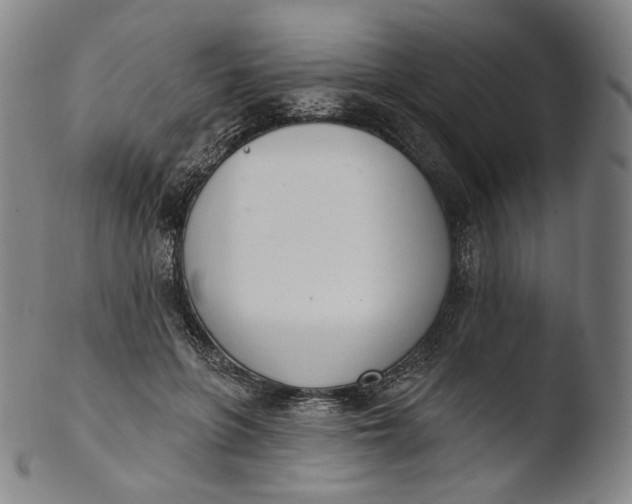 X0000103440551200809261756