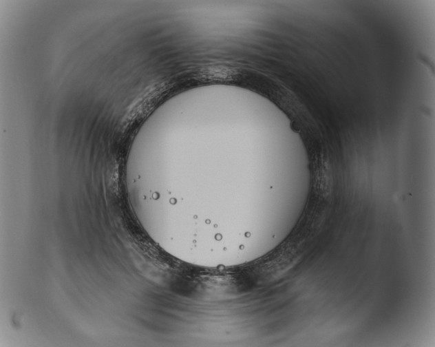 X0000103440552200809261756