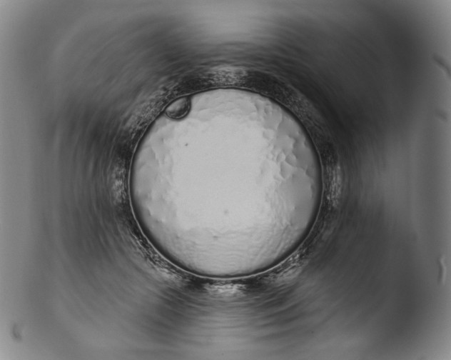 X0000103440553200809261756