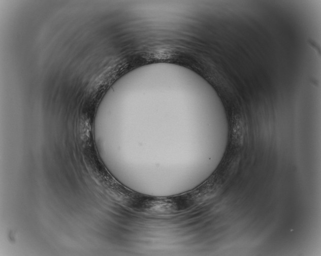 X0000103440555200809261756