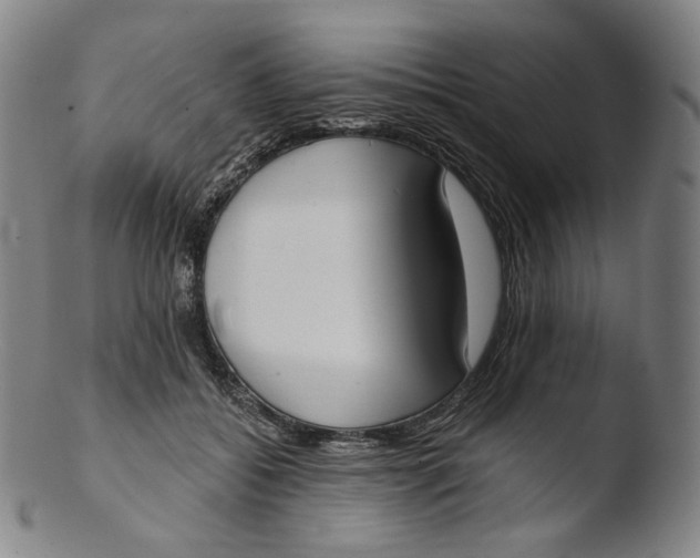 X0000103440556200809261756