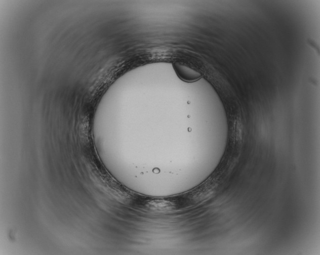 X0000103440557200809261756