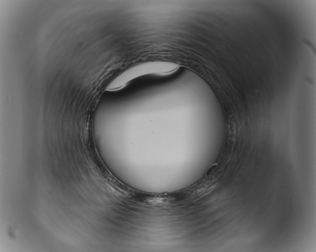 X0000103440558200809261756