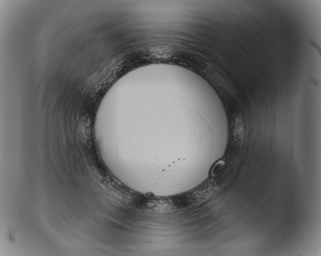 X0000103440559200809261756