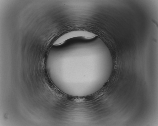 X0000103440560200809261756