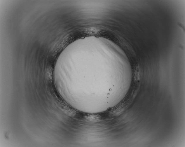 X0000103440561200809261756