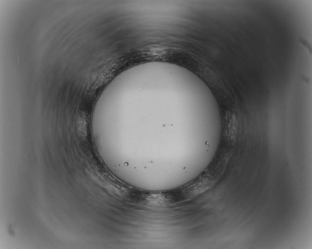 X0000103440562200809261756