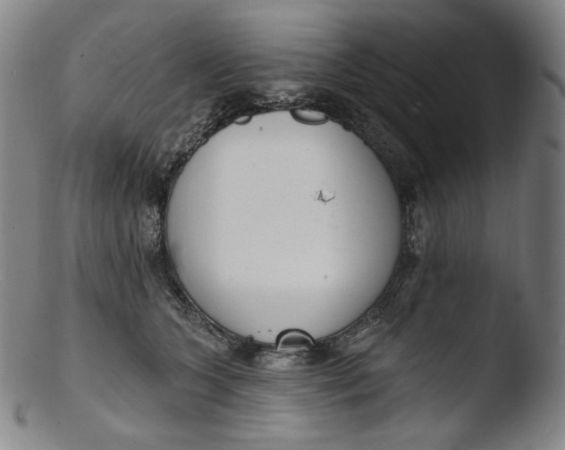 X0000103440563200809261756