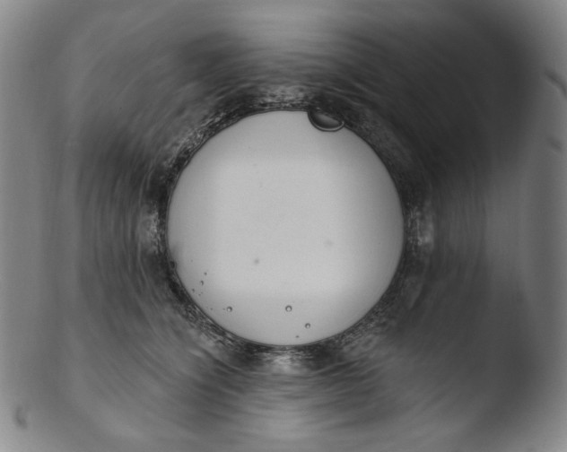 X0000103440564200809261756