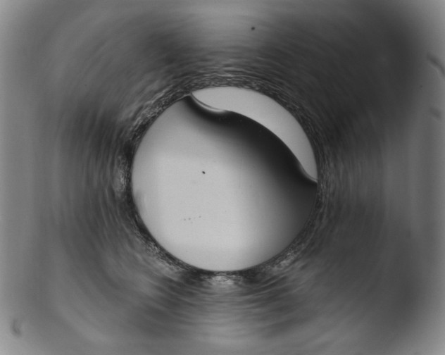 X0000103440566200809261756