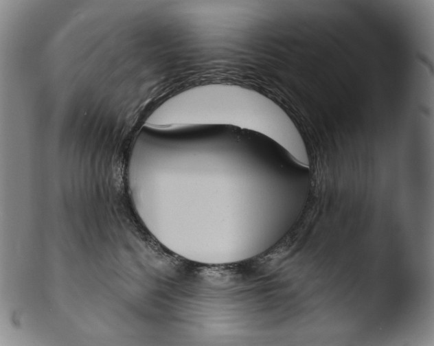 X0000103440568200809261756