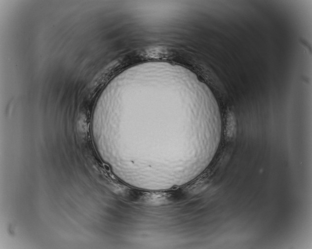 X0000103440569200809261756