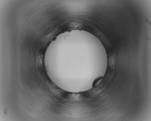 X0000103440570200809261756