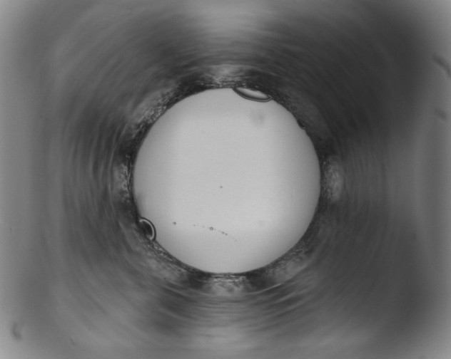 X0000103440571200809261756