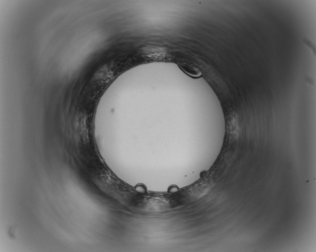 X0000103440572200809261756