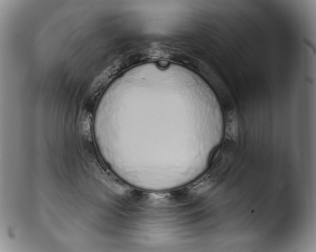 X0000103440573200809261756