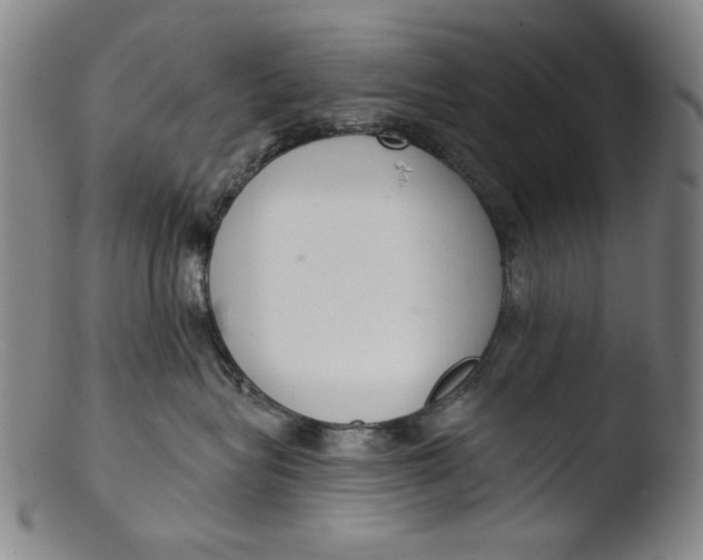 X0000103440575200809261757