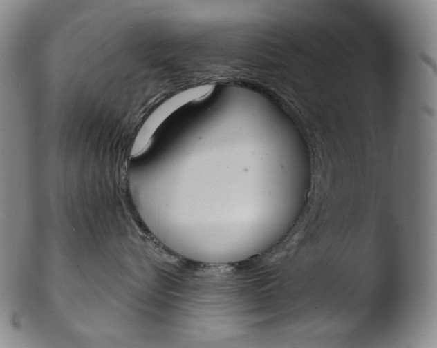 X0000103440576200809261757