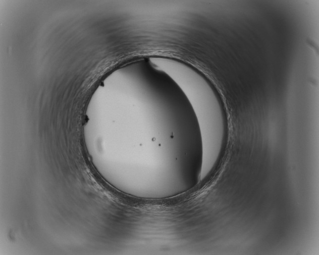 X0000103440577200809261756