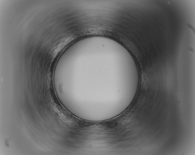 X0000103440578200809261756