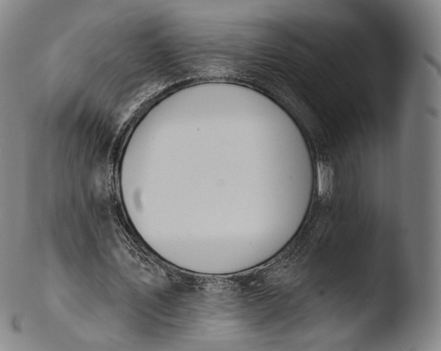 X0000103440579200809261756