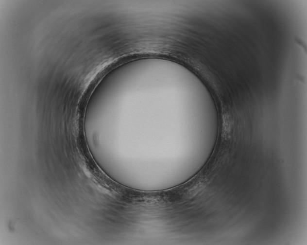 X0000103440580200809261756