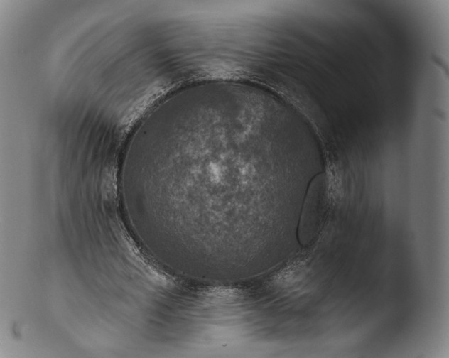 X0000103440581200809261756