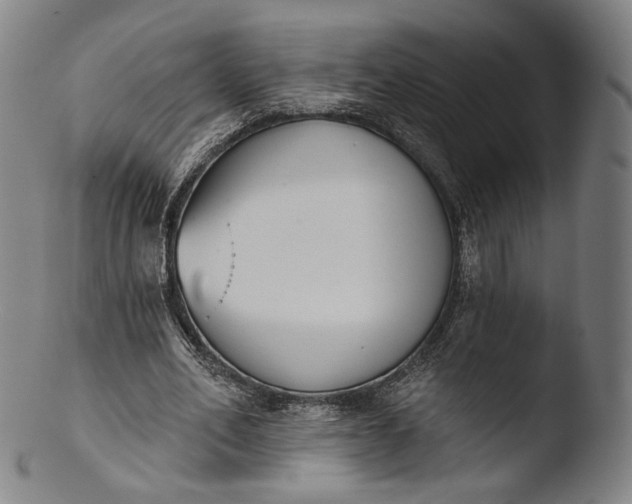 X0000103440582200809261756
