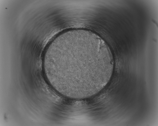 X0000103440584200809261756