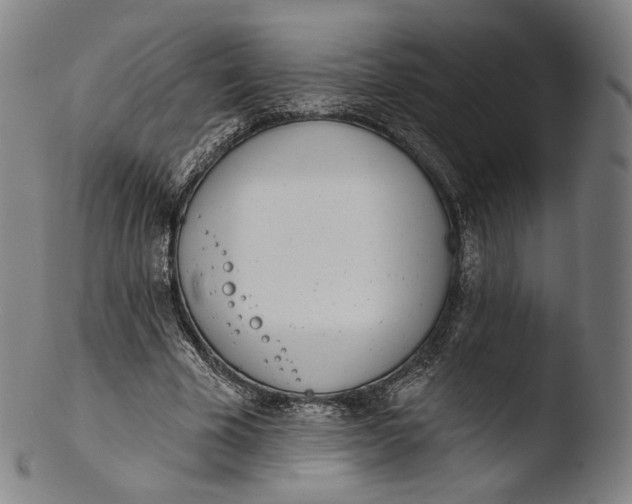X0000103440585200809261756