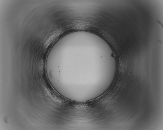 X0000103440586200809261756