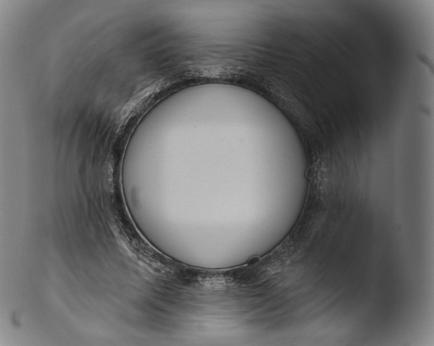 X0000103440587200809261756