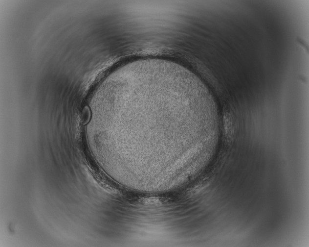 X0000103440588200809261756