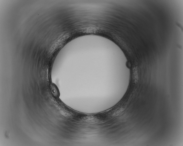 X0000103440589200809261756