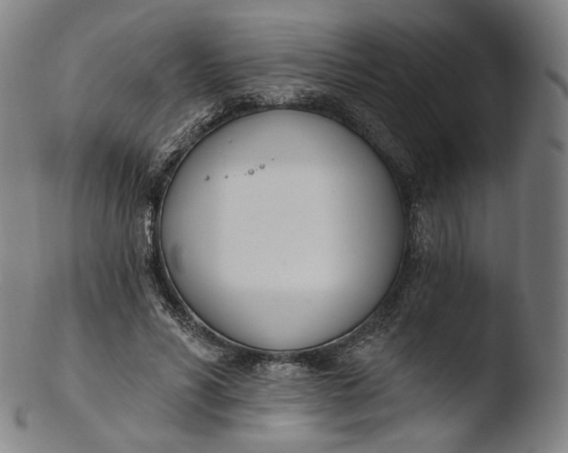 X0000103440590200809261756
