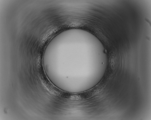 X0000103440591200809261756